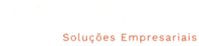 Tenedini Soluções Empresariais